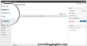 Publish Your First Post on Worpdress Blog