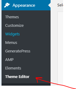 Theme Editor in wordpress